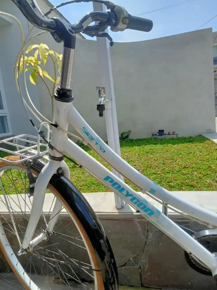 Polygon Sierra Internal Gear 3 Speed