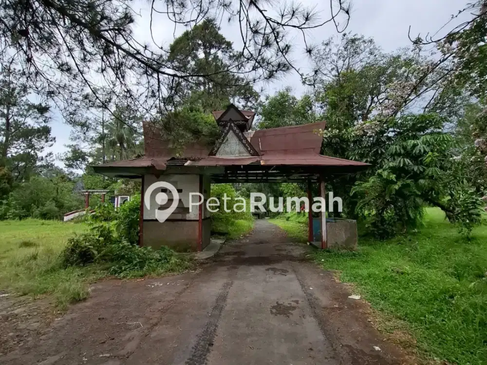 DIJUAL TANAH JALAN JAMIN GINTING - DAERAH SIBOLANGIT (WELLY)