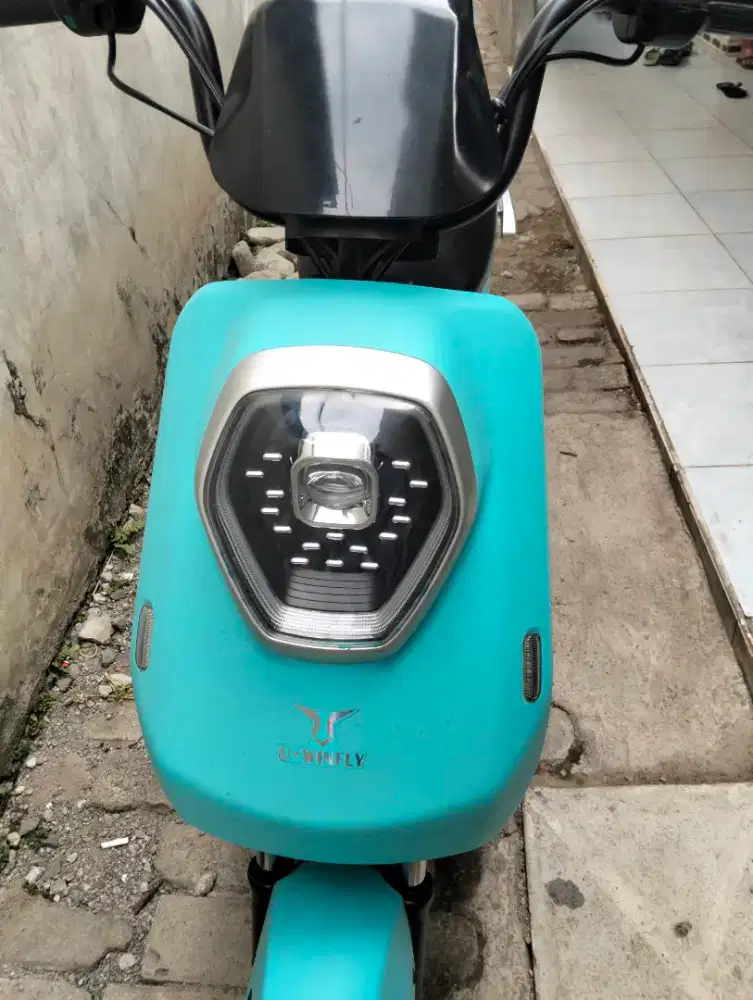 Sepeda Listrik M60