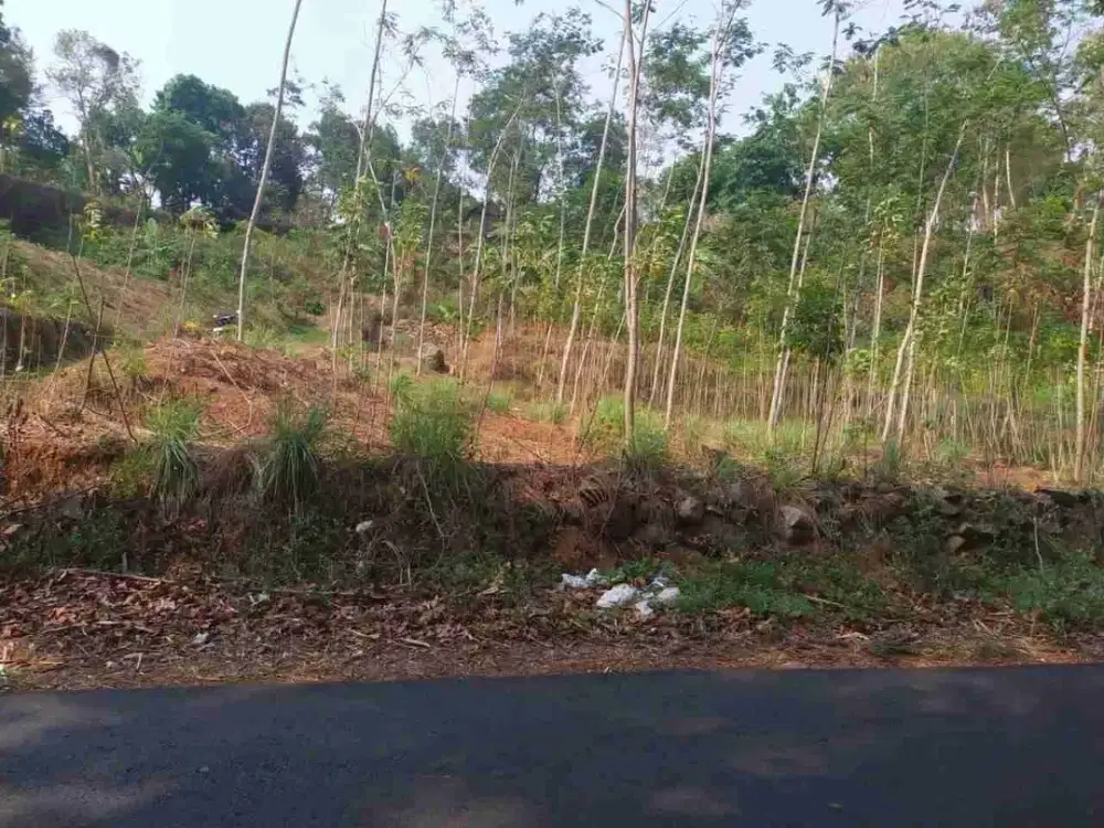 Dijual tanah lokasi strategis di Ungaran Timur Kabupaten Semarang