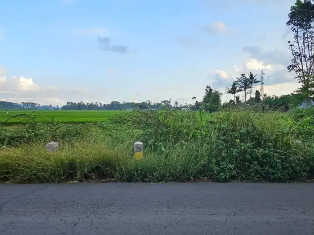 Dijual Tanah Siap Bangun di Jalan Embong Turi, Kec. Pakisaji, Malang