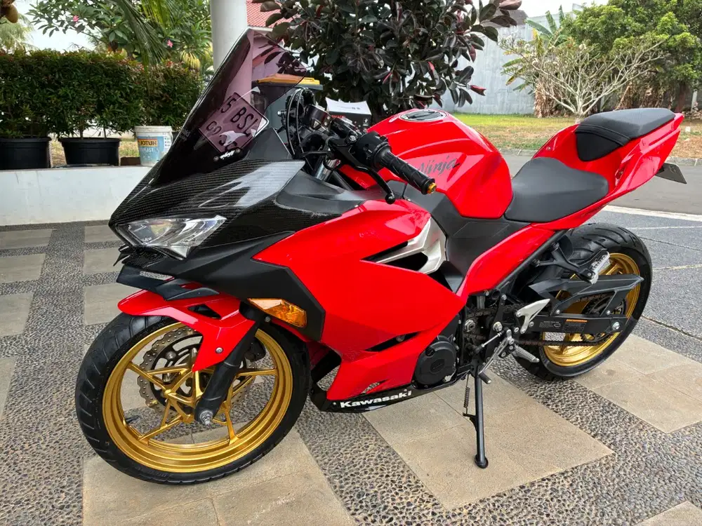 Kawasaki Ninja 250 2018