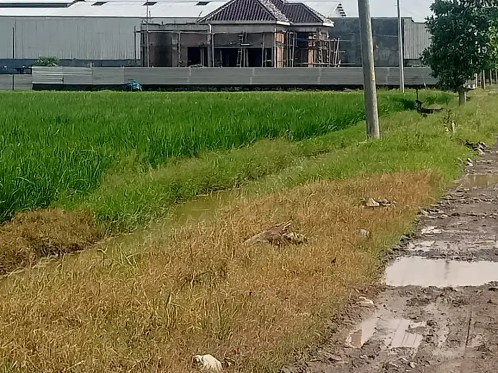 dijual tanah di solo baru