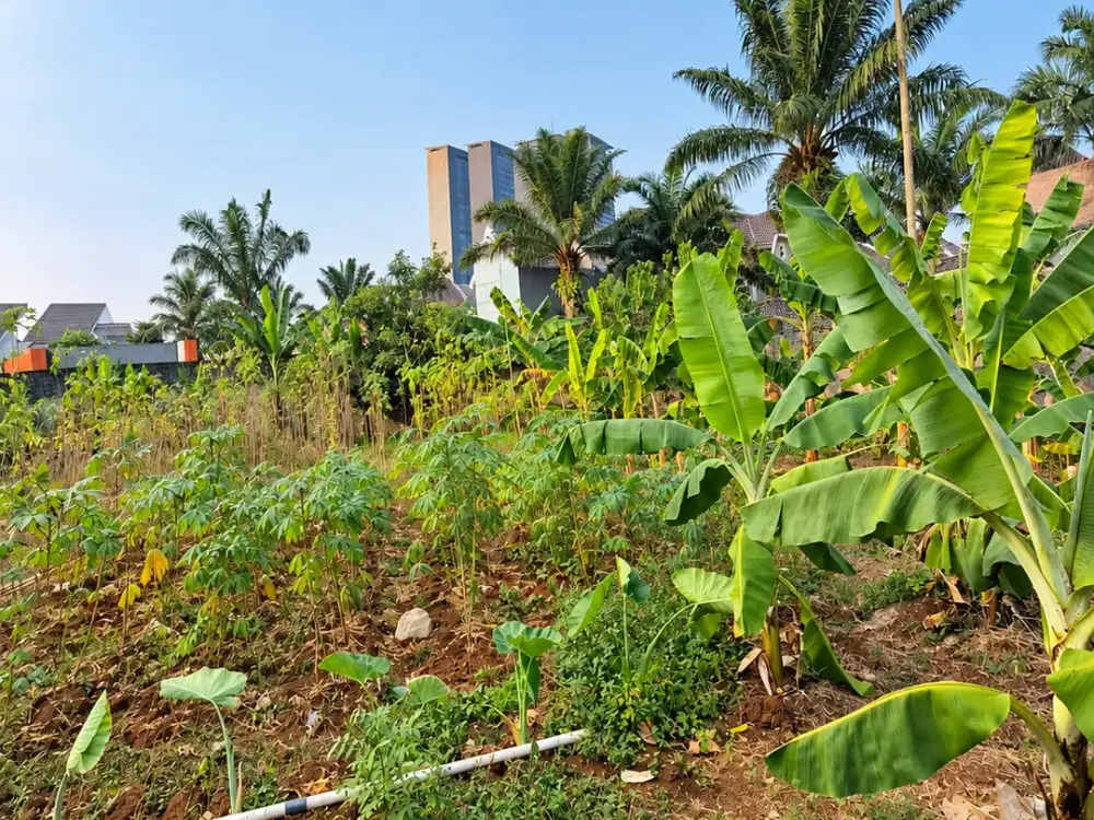 Lahan Super Strategis Gading Serpong - Pagedangan BSD