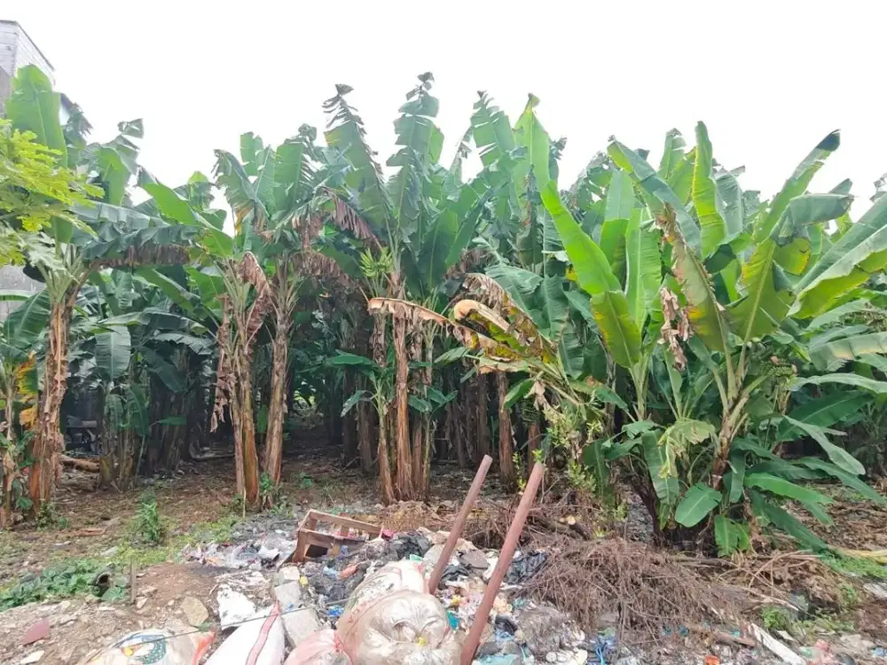 TANAH SIAP BANGUN DI GG GAYA PASAR MINGGU JAKARTA SELATAN