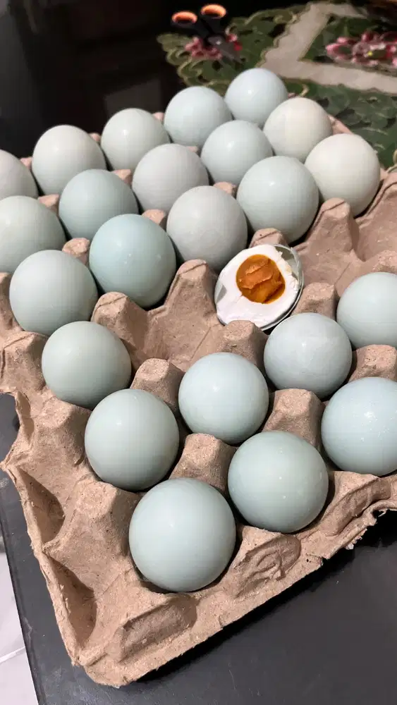 Telur Telor Bebek