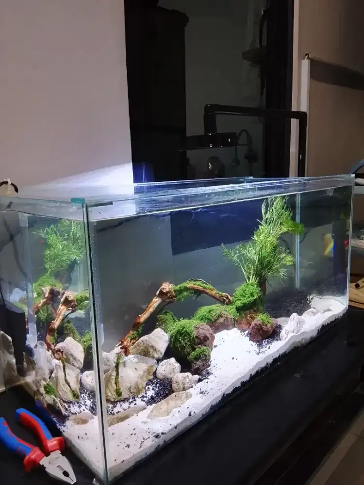 Jual aquarium fullset komplit NEGO