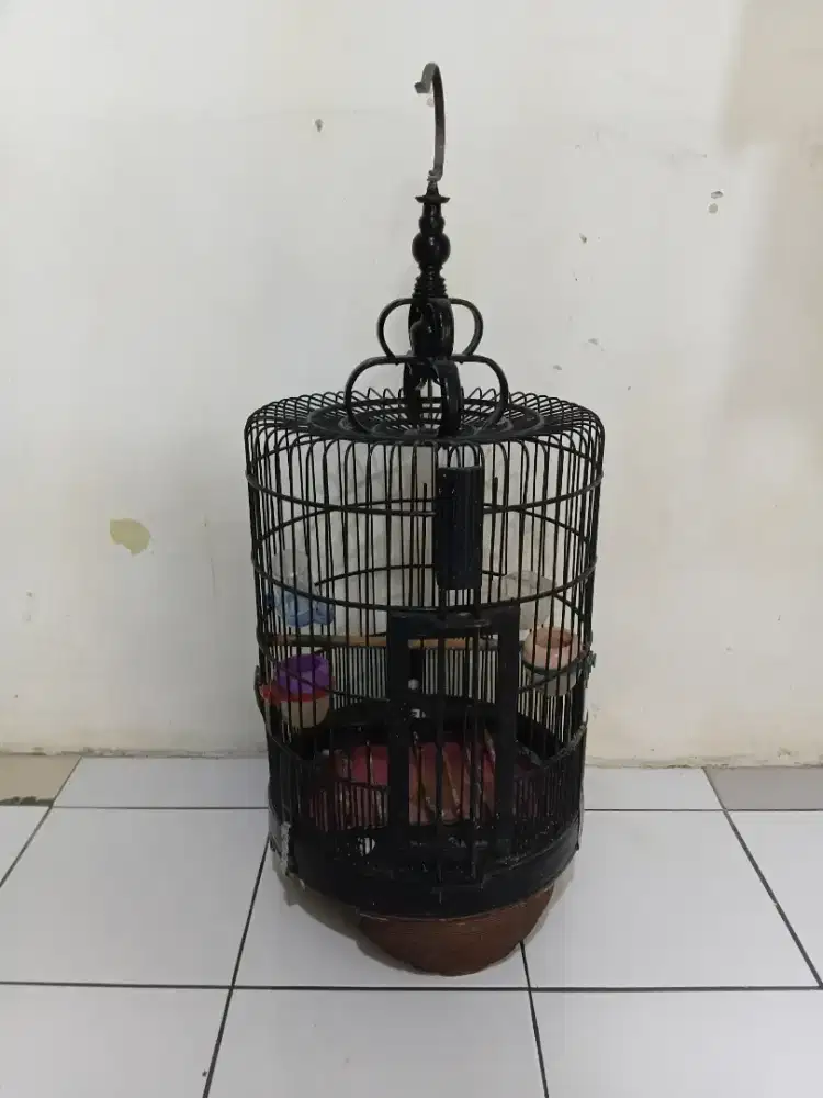 Sangkar burung anis