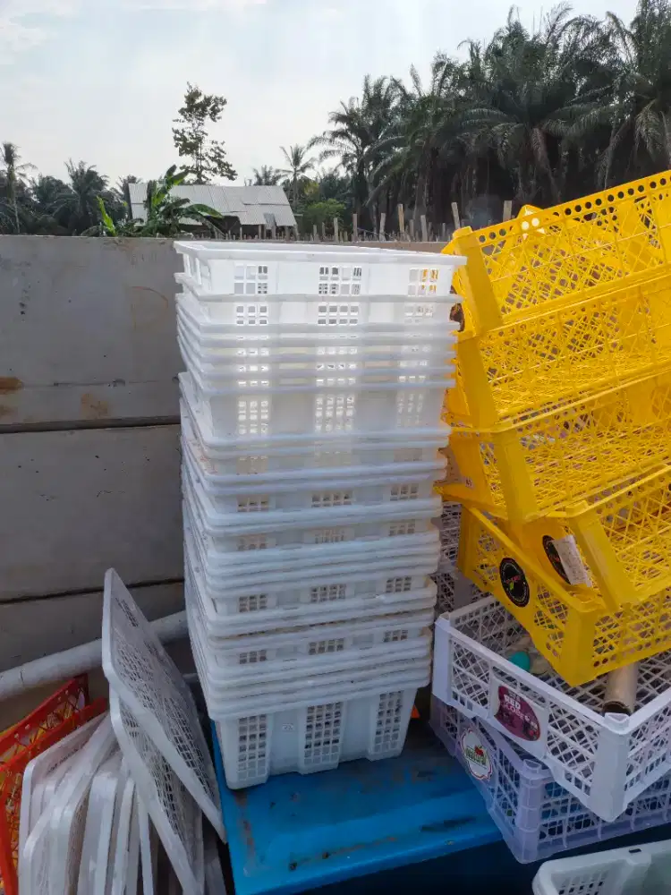 Keranjang krat bekas anggur atau klengkeng