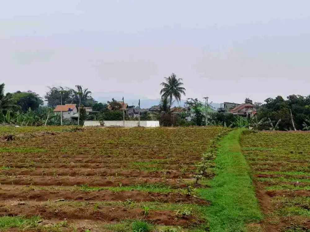 Tanah Kebun Subur Sudah SHM di Bogor