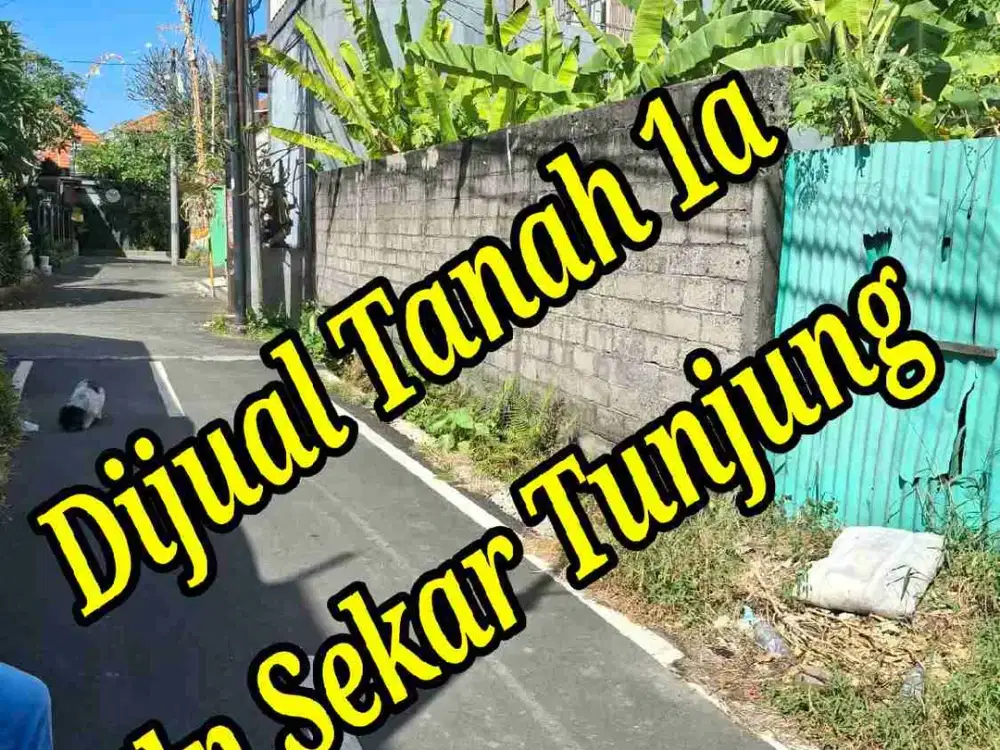 Dijual Tanah 1a di Jln Sekar Tunjung Gatsu Timur Denpasar Bali