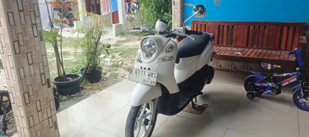 Fino karbu 2013 pjk panjang