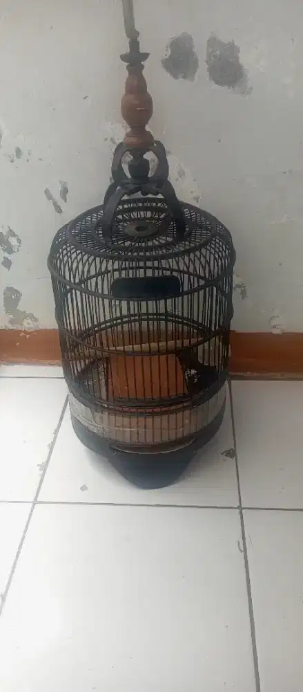 Jual tiga kandang