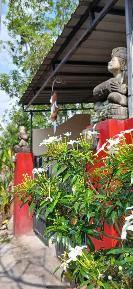 Villa Padang Gadjah, New Launching, Super Nyaman, Harga Hemat, Tenang