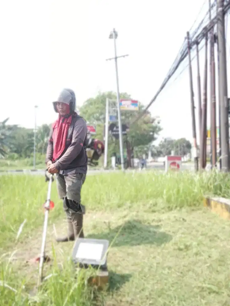 Jasa potong rumput taman dan kebun