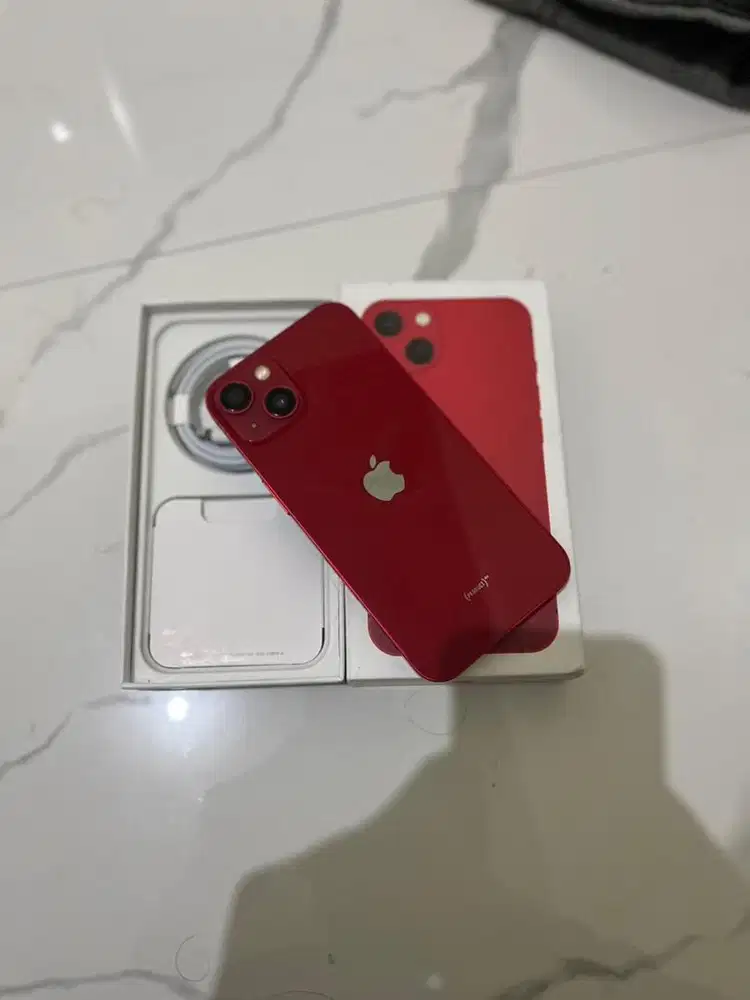 iphone 13 basic