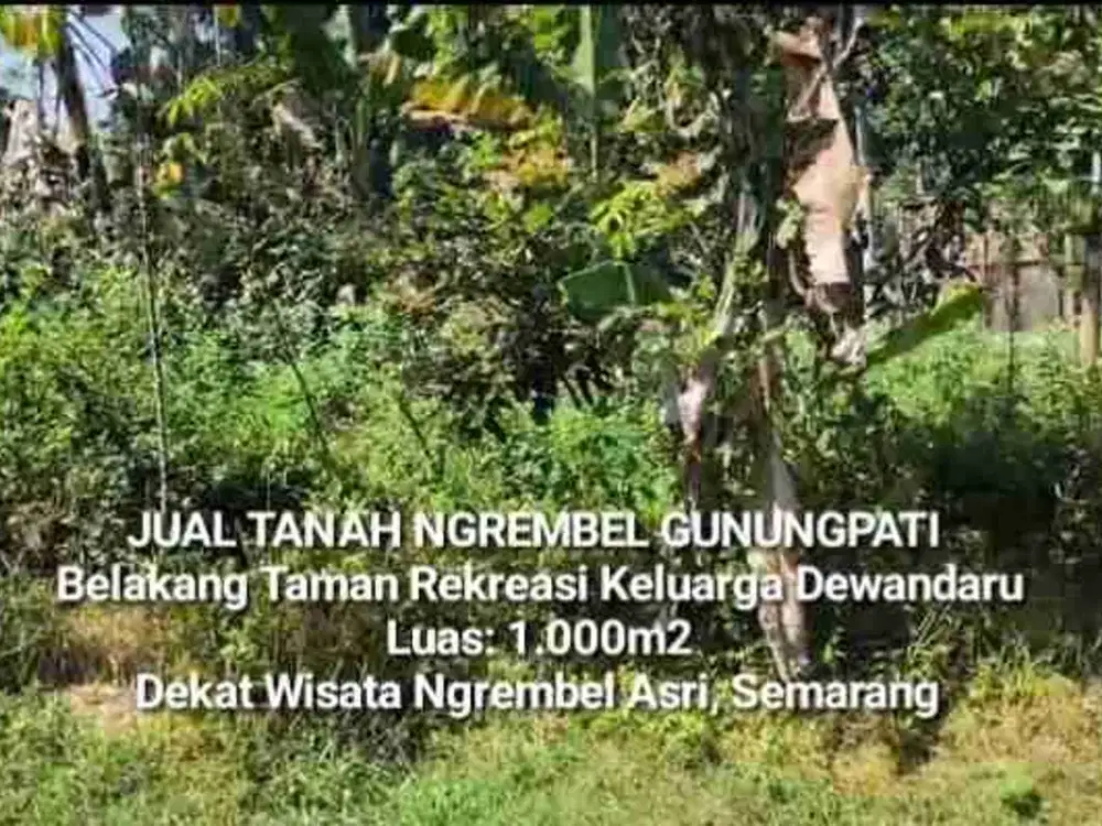 TANAH GUNUNGPATI SEMARANG DIJUAL. DEKAT WISATA NGREMBEL ASRI & DEWANDARU GUNUNGPATI