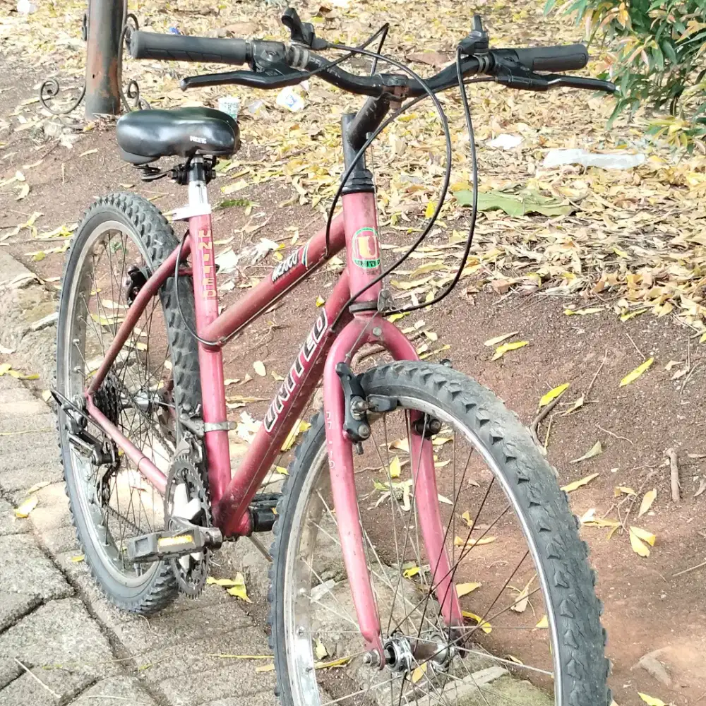 MTB Jadul United Mexico 26 Inch Original - Siap Gowes / Bahan Kalcer