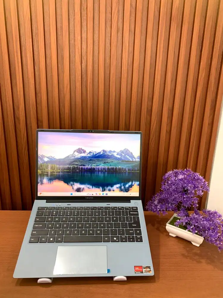 ADVAN WORKMATE L25C-R53S1	AMD RYZEN 5 3500U RAM 8 GB SSD 256 GB  AMD R