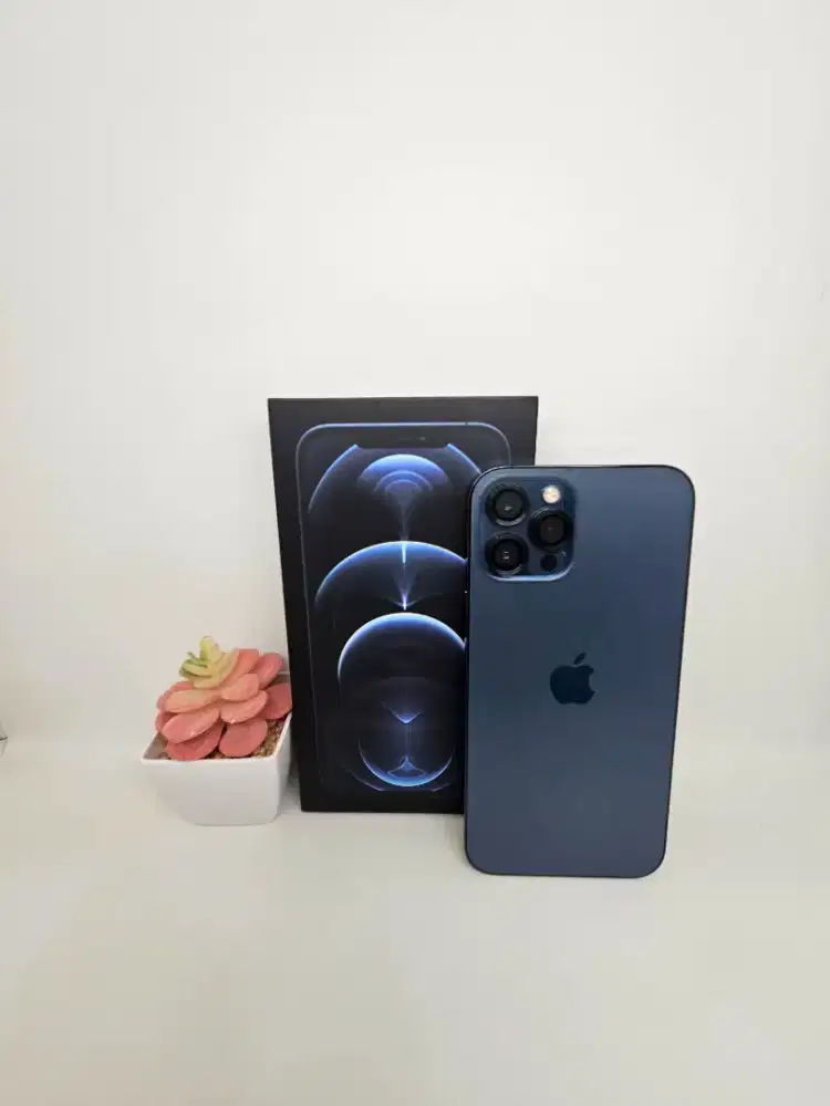 Handphone second:iphone 12 promax 256 BH 77% (Blue) Inter