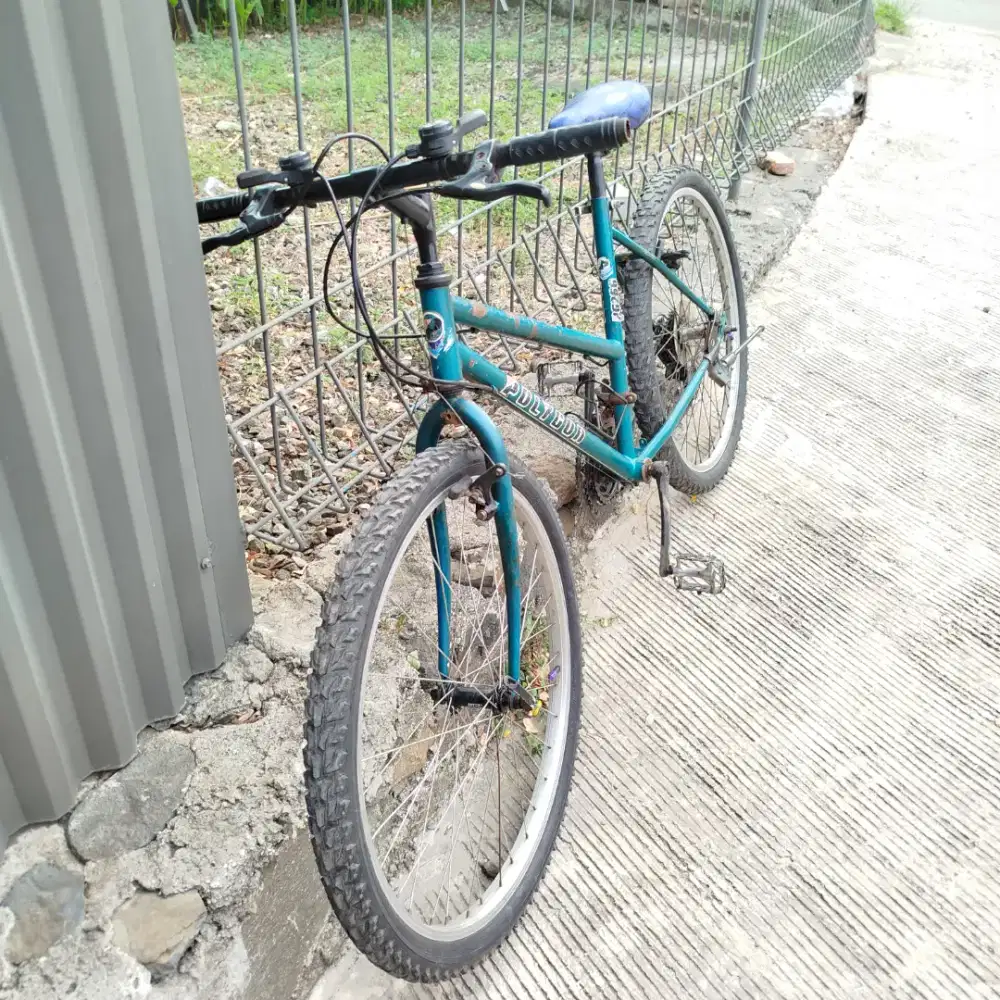 Sepeda MTB Polygon Virginia PG622 26 Inch Original - Siap Gowes