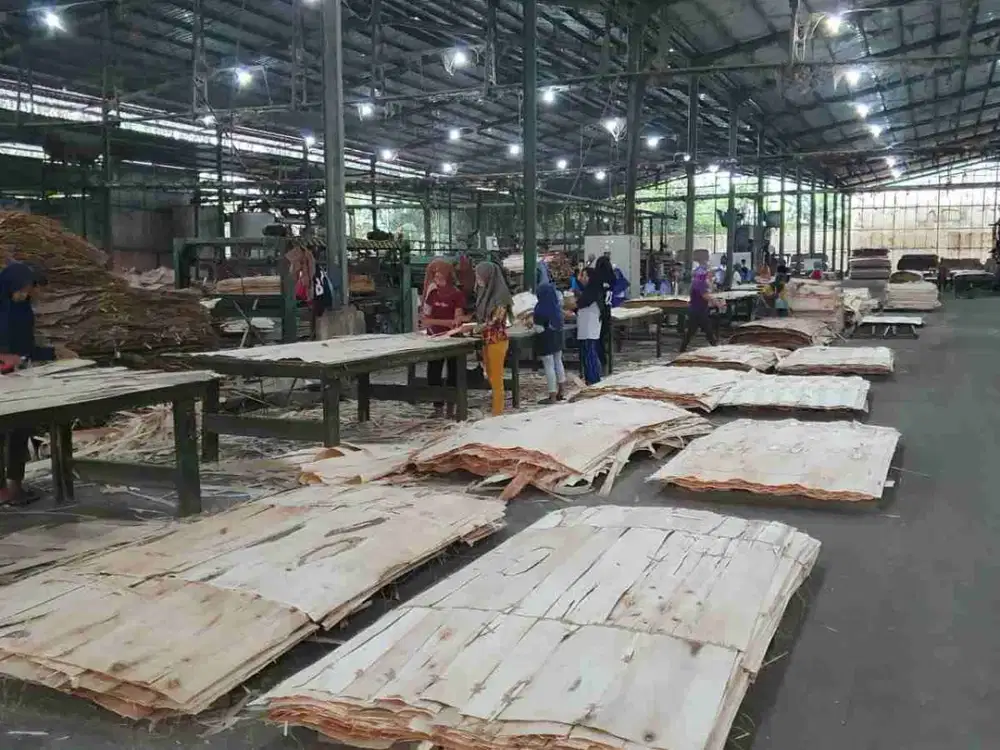 Di Jual Pabrik Triplek Aktif di Lumajang , Jawa Timur