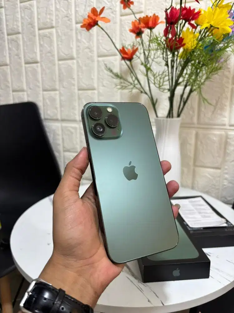 Iphone 13 promax 128 gb resmi