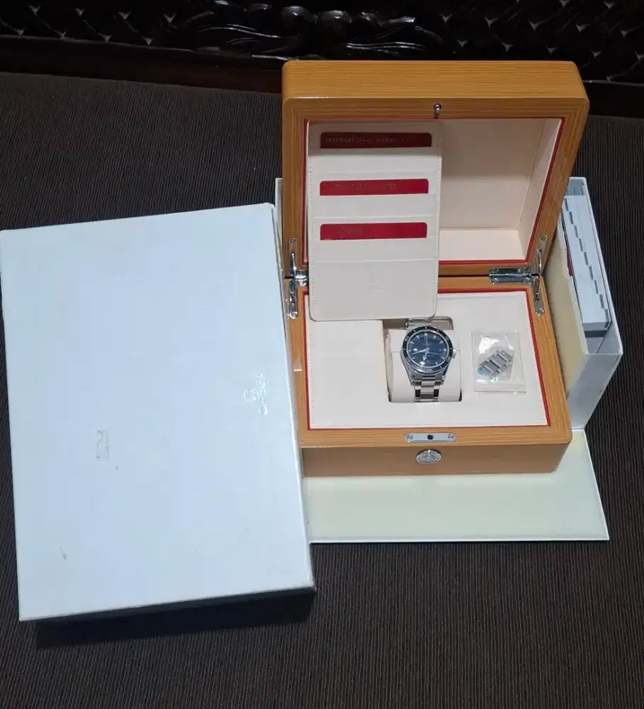 Omega seamaster heritage 300