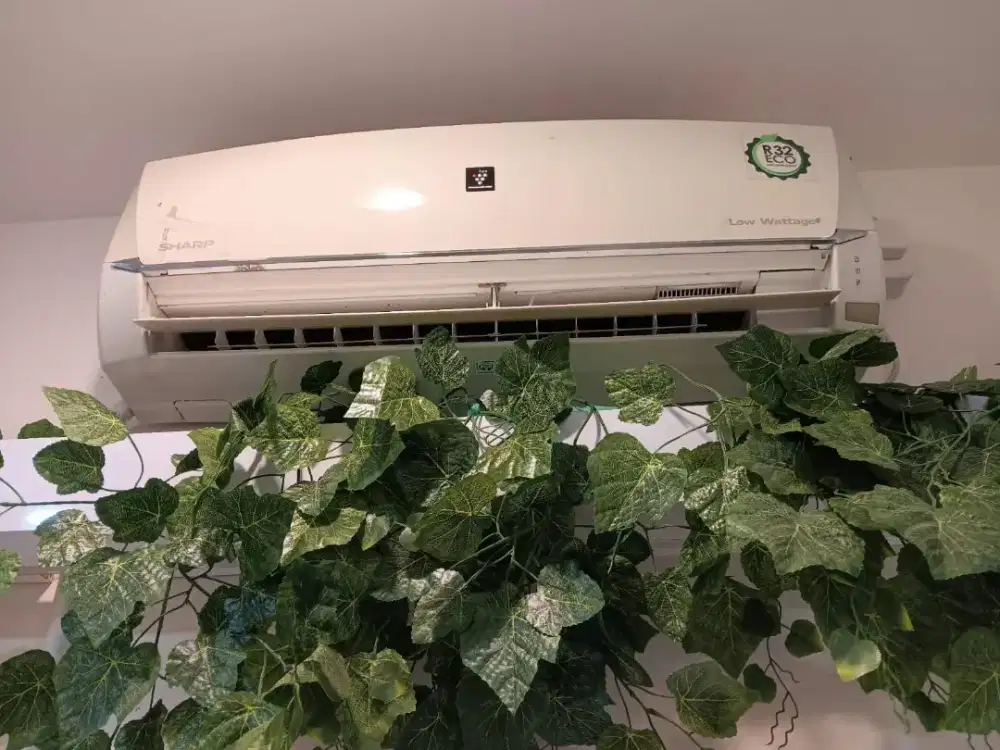 AC Sharp 3/4 PK