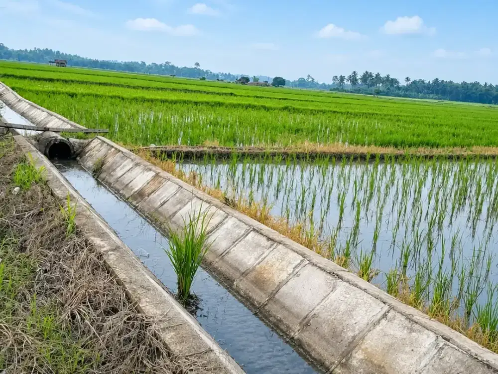Tanah Dijual di Kalianda, Kab. Lampung Selatan