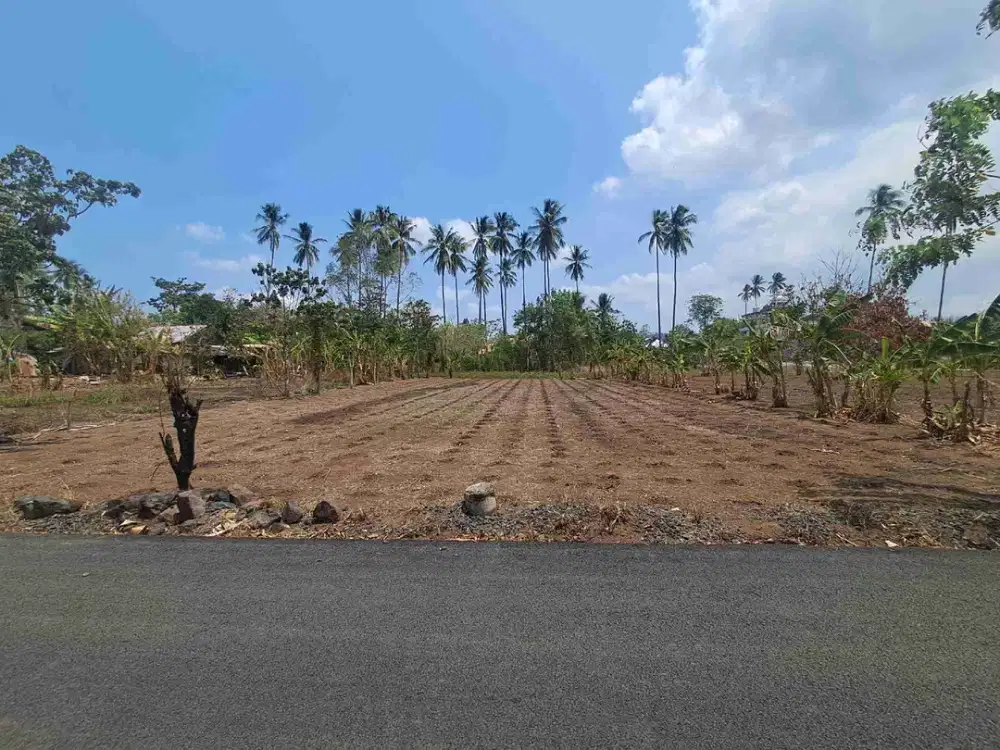 DIJUAL CEPAT TANAH CANTIK KONSOLIDASI MAPANGET, HARGA SANGAT MURAH