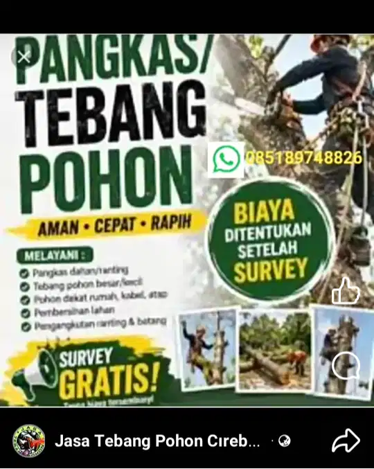 Jasa Tebang Pohon Kota Cirebon