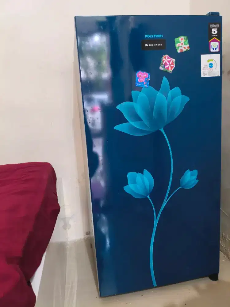 kulkas polytron 1 pintu + lemari sepatu