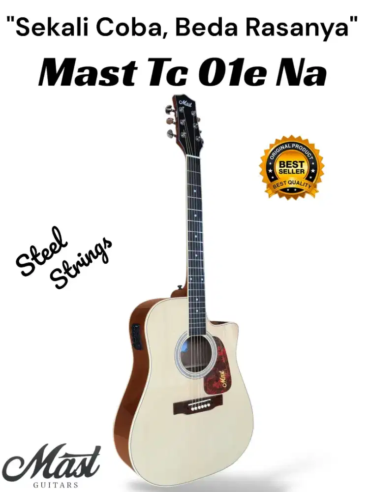 Gitar Mast Tc 01e Original