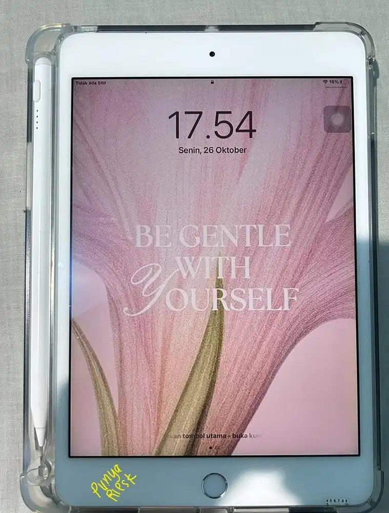 Ipad mini 4 Second ibox