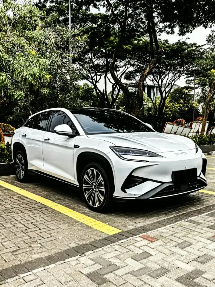 Cari Sealion Byd seal pemakai km rendah murah