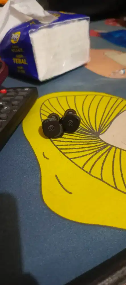 Earbud audio technica