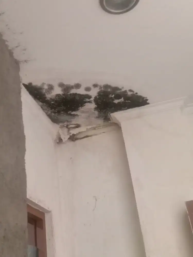 Tukang atap bocor ganti atap rumah renopasi
