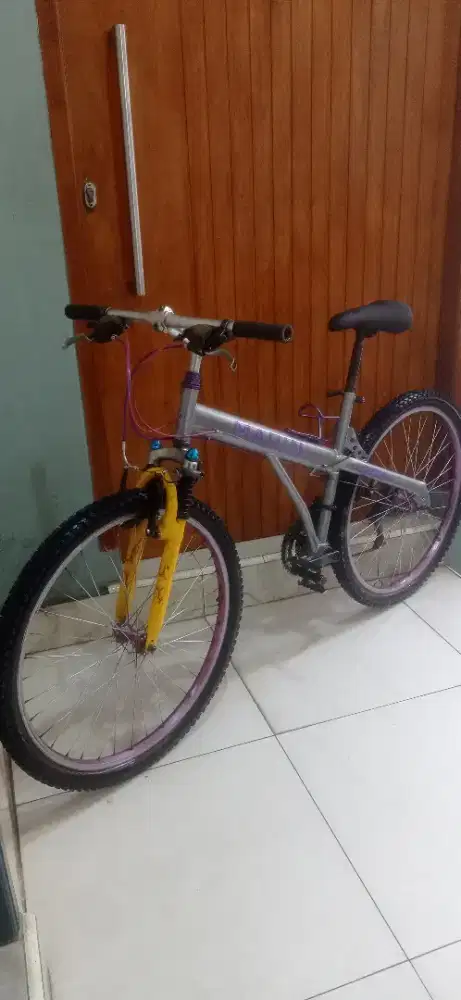 sepeda ntb 26 classic vintage