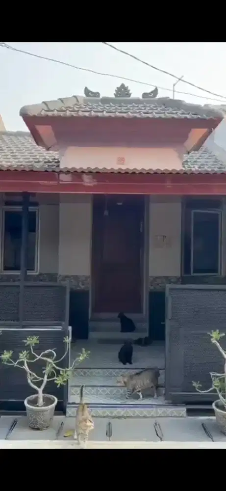Dijual murah Rumah di cluster tmn ubud lippo karawaci