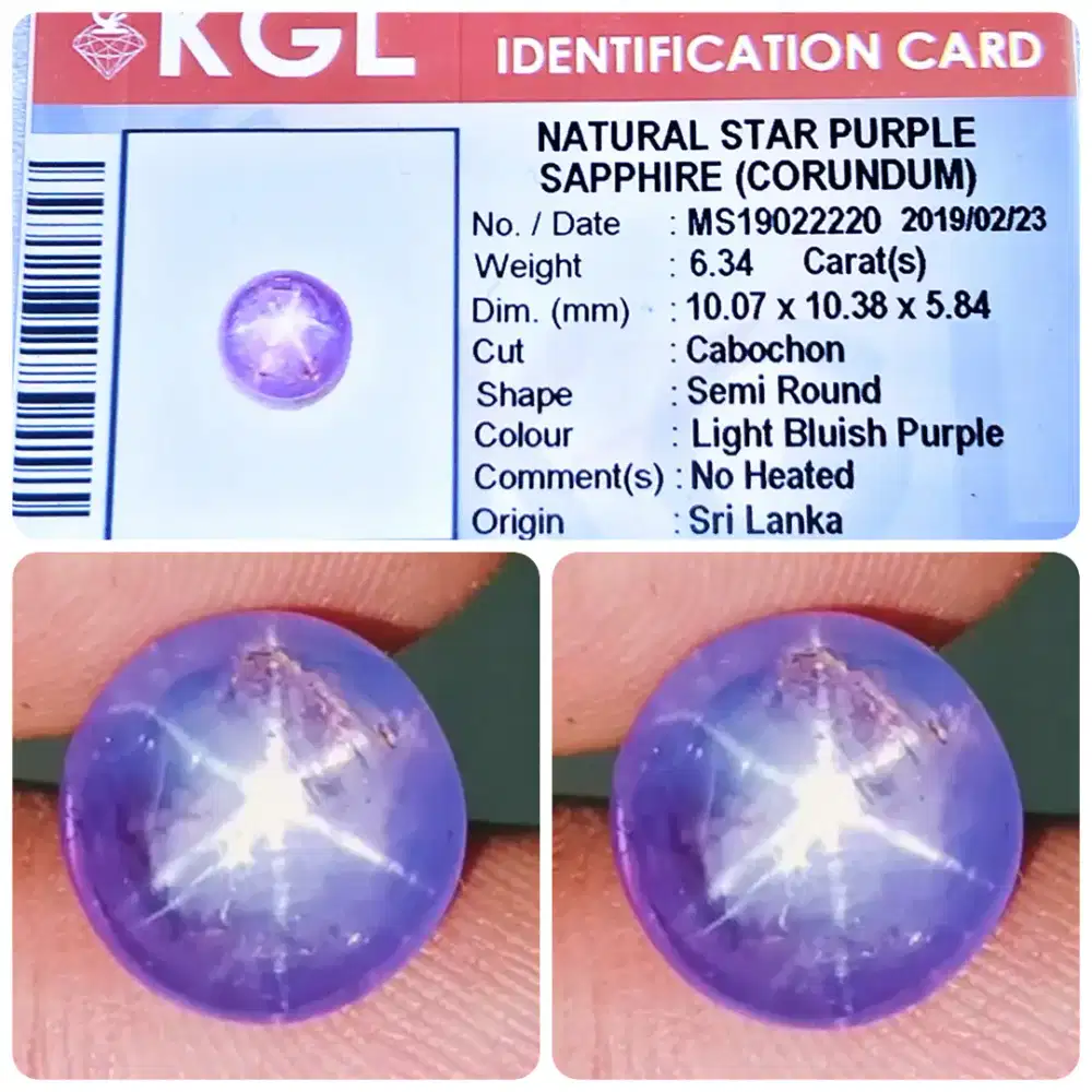 Natural Star Purple Sapphire/Mata udang