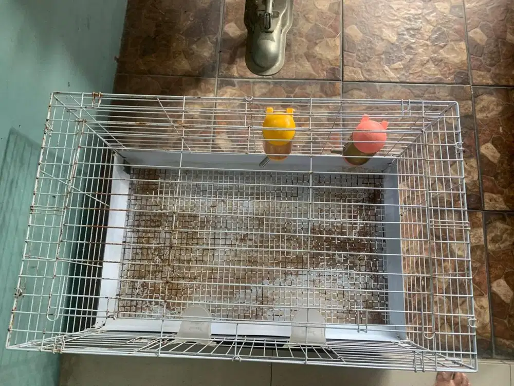 kandang kelinci kuncing anjing bekas jumbo