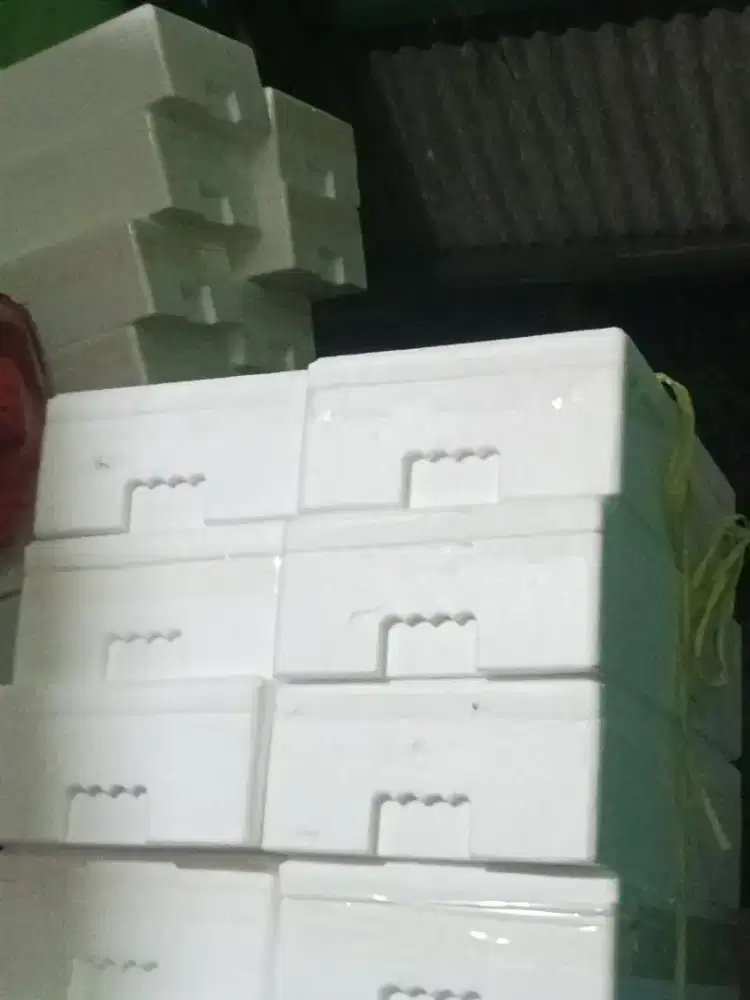Styrofoam untuk wadah ikan dll