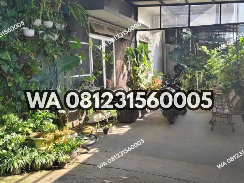 RUMAH LUAS DI MOJOPAHIT TRANSMART JEMBER