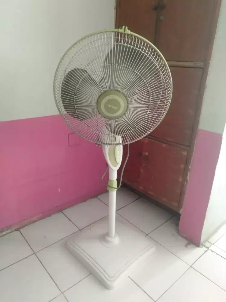 Miyako tenaga badak