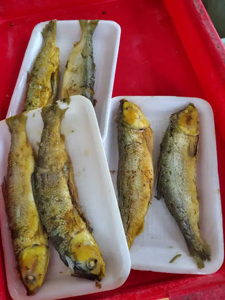 Bandeng Presto Siap Goreng