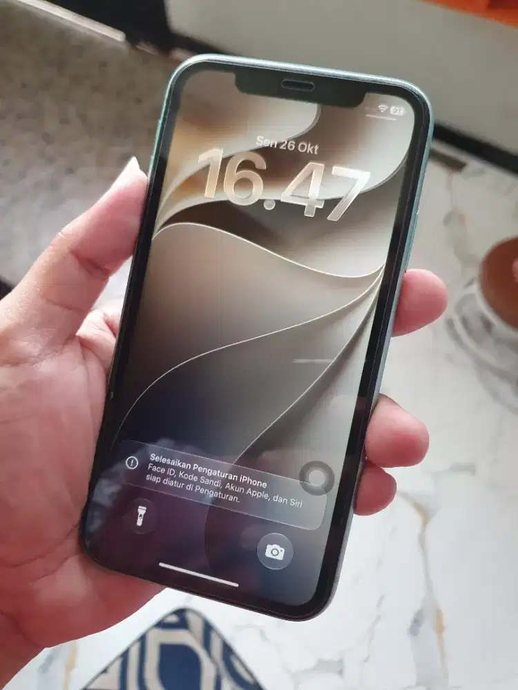 iPhone 11 64Gb Green Ex. Inter Fullset