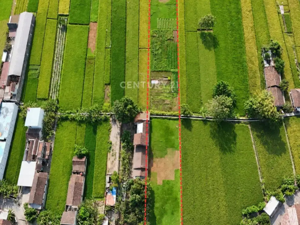 Tanah 2544m2 Di Sewon Hanya 350 Meter Dari Ringroad Selatan