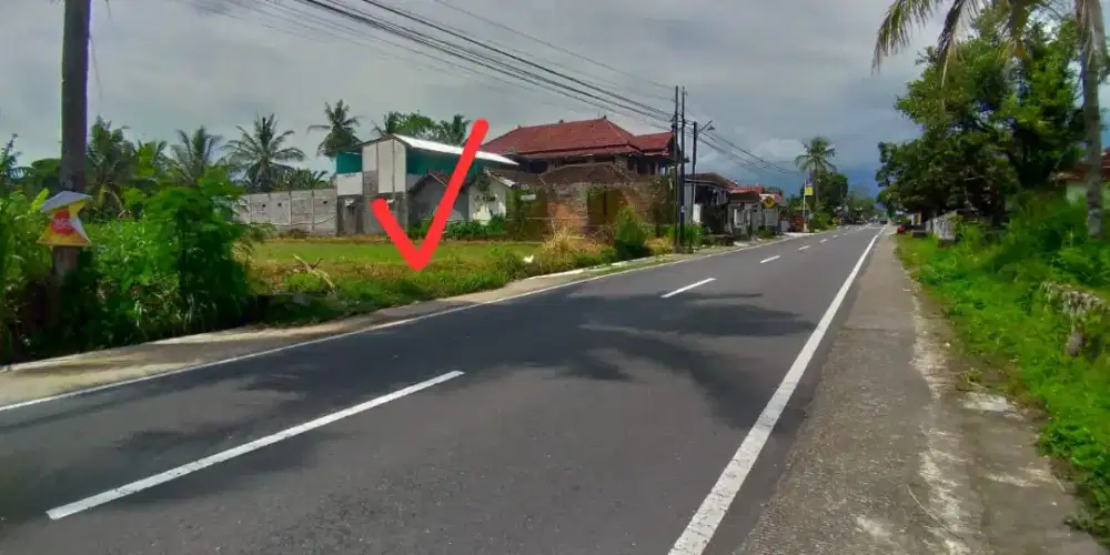 Tanah bagus mangku jalan utama Pendowoharjo Sleman Yogyakarta