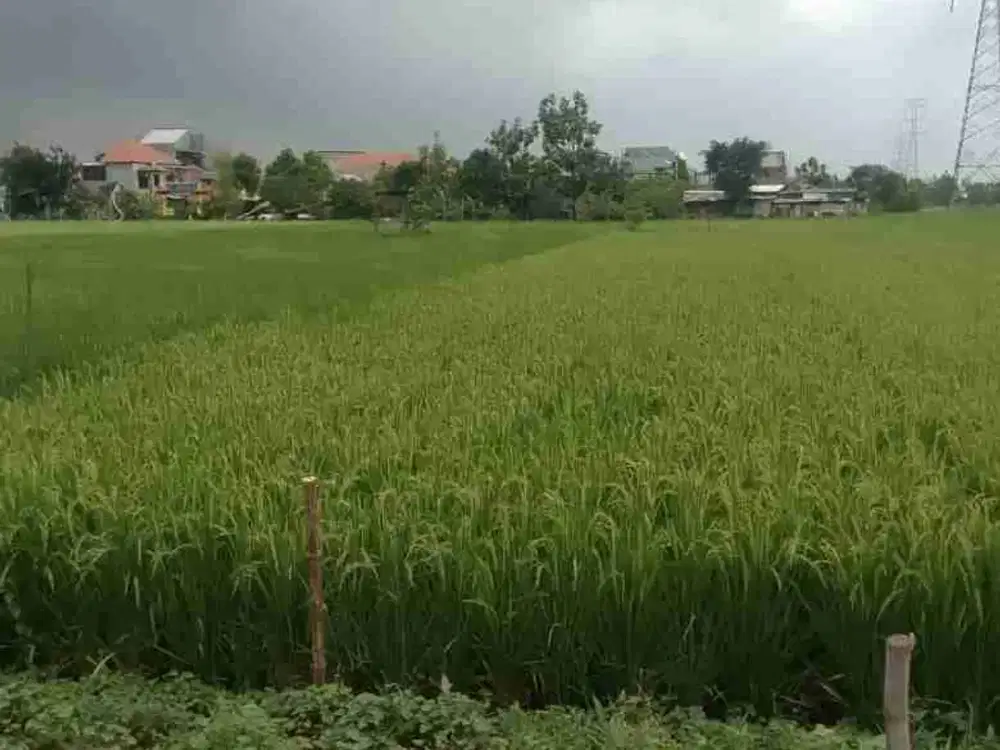 Dijual Tanah Di Wiyung Surabaya Barat